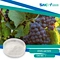 Pharmaceutical and Cosmetic Industries